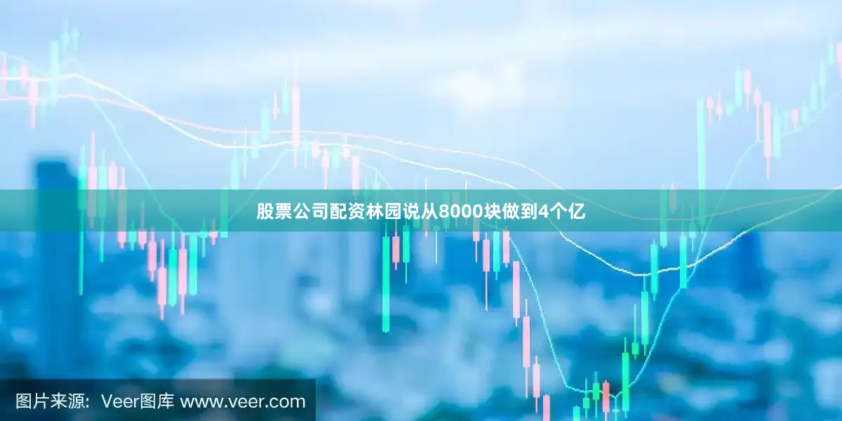 股票公司配资林园说从8000块做到4个亿